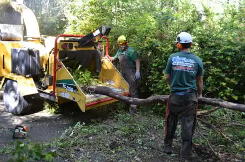 tree services Ellenton